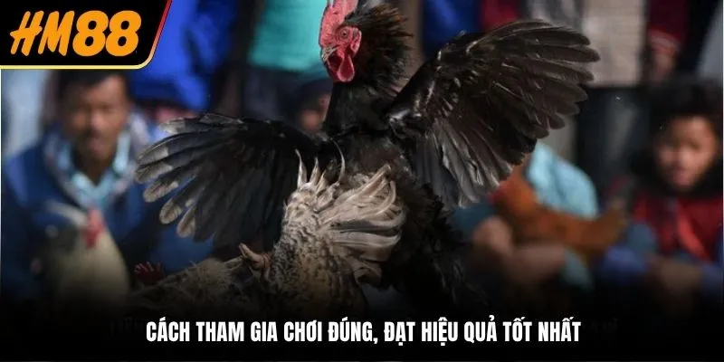 Cách tham gia chơi đúng, đạt hiệu quả tốt nhất