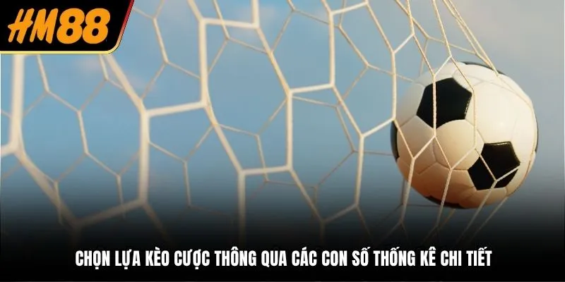 Chọn cược thông qua các con số thống kê chi tiết