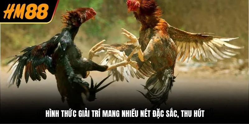 Hình thức giải trí mang nhiều nét đặc sắc, thu hút