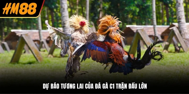 Dự báo tương lai của đá gà C1 trận đấu lớn