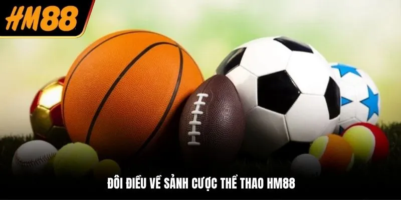 Đôi điều về sảnh cược thể thao HM88